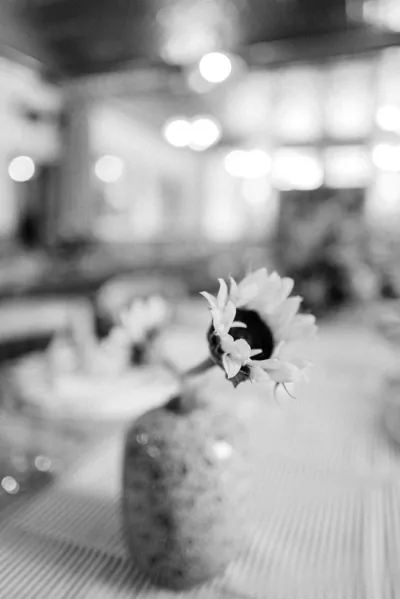 Abigail + Nathaniel -18.jpg